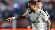 Foto: Raul Baretta/Santos FC