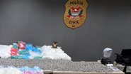 Foto: Marta Cavallini/Governo de São Paulo