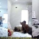 Imagem Novas imagens mostram PMs absolvidos em Júri matando jovem rendido em Paraisópolis; veja