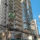 Foto:  Reprodução/Prefeitura