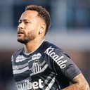 Foto: Raul Baretta/Santos FC