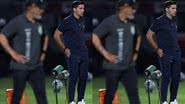Cesar Greco/ Palmeiras