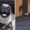 Foto: Reprodução / Arquivo pessoal