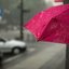 Foto: Ilustrativa / unsplash