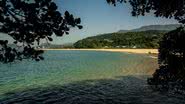 Foto: Divulgação/Prefeitura de Caraguatatuba