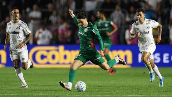 Cesar Greco/ Palmeiras
