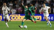 Cesar Greco/ Palmeiras