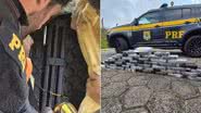 Foto: Polícia Rodoviária Federal/Divulgação
