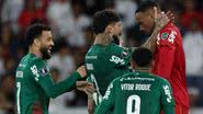 Foto: Cesar Greco/Palmeiras