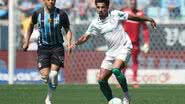 Foto: Cesar Greco/Palmeiras/by Canon