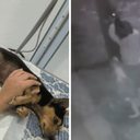 Foto: Reprodução / Arquivo pessoal | TV Tribuna