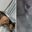 Foto: Reprodução / Arquivo pessoal | TV Tribuna