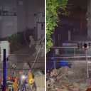 Foto: Reprodução/Instagram