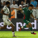 Palmeiras e Santos empataram por 0 a 0 na Vila - Foto: Cesar Greco/Palmeiras/by Canon