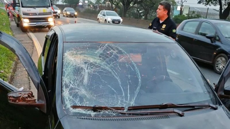 Foto: Divulgação/Polícia Rodoviária Federal