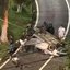 Motorista capota carro após perder o controle e bater em duas árvores - Foto: Reprodução/Vídeo