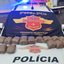 Foto: Polícia Militar Rodoviária/Divulgação
