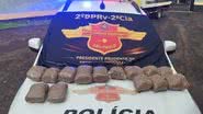 Foto: Polícia Militar Rodoviária/Divulgação