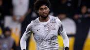 Foto: Rodrigo Coca/Ag. Corinthians