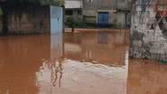 Foto: Diulgação/TRE-SP