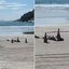 Motorista de app é encontrado morto em Guarujá, SP - Foto: Reprodução/Vídeo