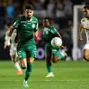 Foto: Cesar Greco/Palmeiras