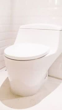 Você limpa o assento da privada com papel higiênico? Pare agora!
