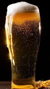 Beber mais de 8 doses de álcool por semana afeta seu cérebro; entenda como