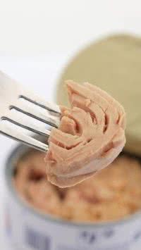 Cuidado! Nunca compre este tipo de atum em lata