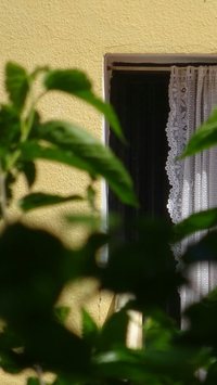 Casa muito quente? Veja como aliviar o calor sem ar-condicionado