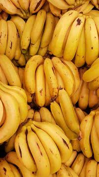 Mantenha as bananas frescas por semanas sem estragar