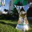 Foto: Lucas Figueiredo/CBF