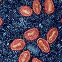 Foto: Reprodução/Gov