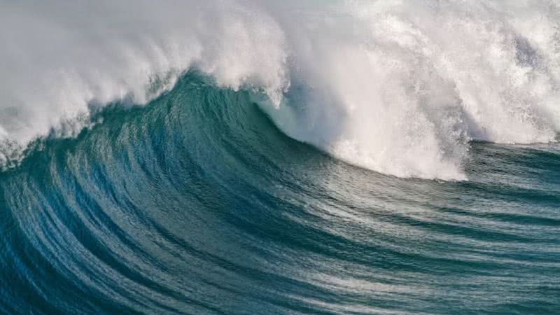 Foto: Freepik/Wirestock