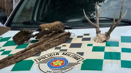 Foto: Reprodução/Polícia Militar Ambiental