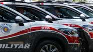 Foto: Divulgação / Polícia Militar (PMESP)