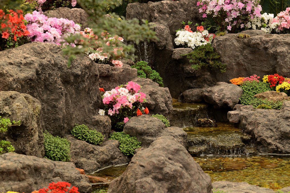 Flores e Morangos