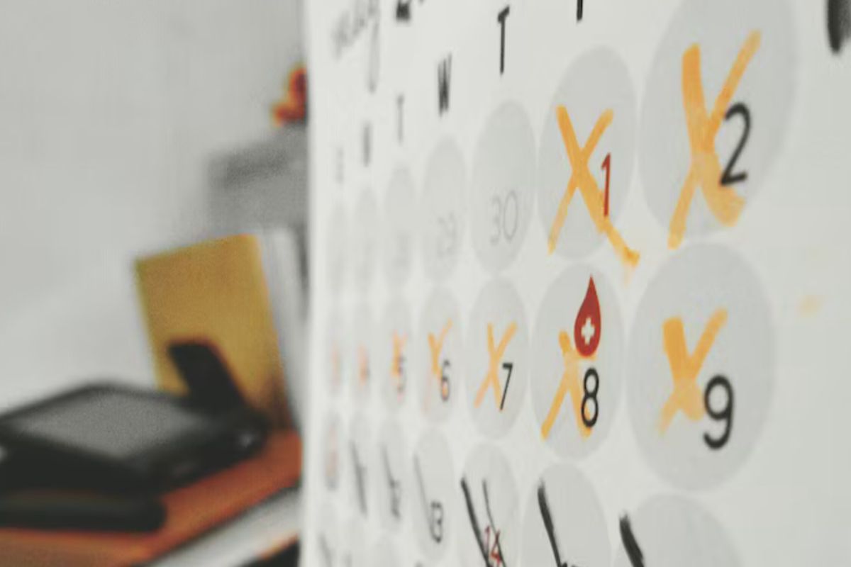 Foto:Reprodução/Freepik