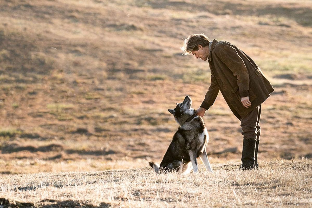 Cena do filme "Togo", na Netflix. Foto: Reprodução/IMDB.