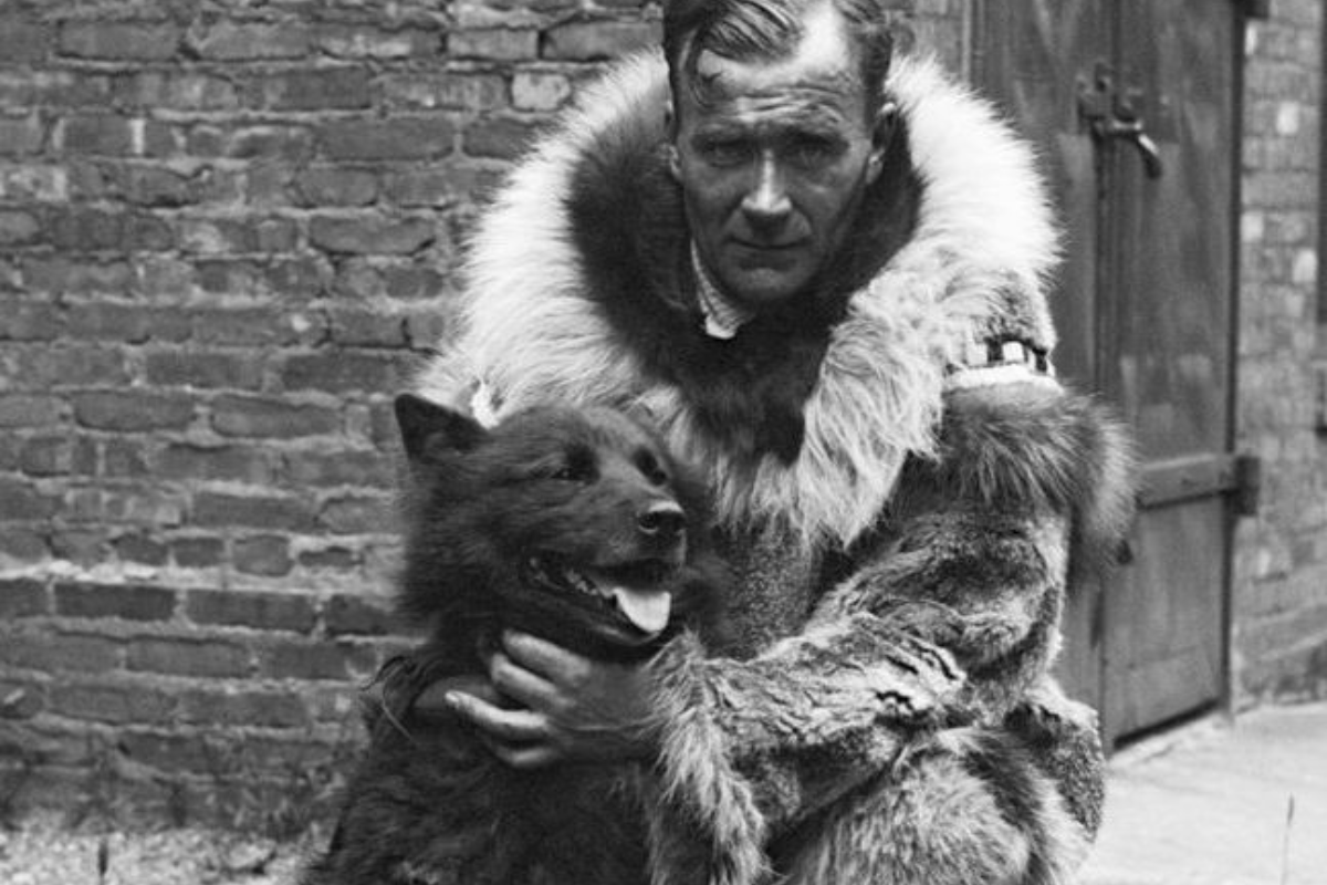 Foto: Wikimedia Commons