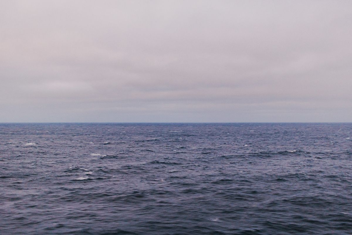 Foto: Reprodução/Unsplash