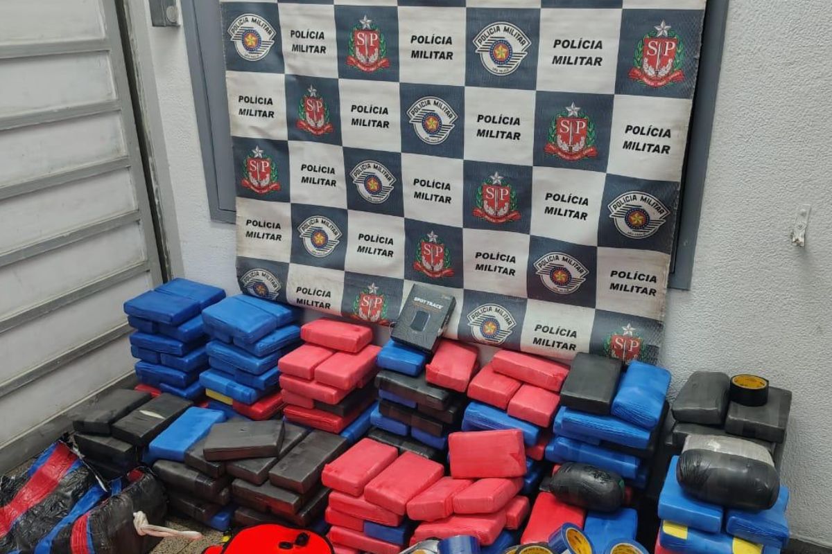 Tráfico internacional