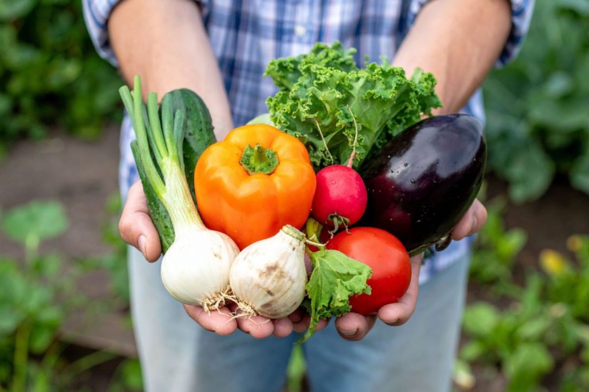 agricultura familiar