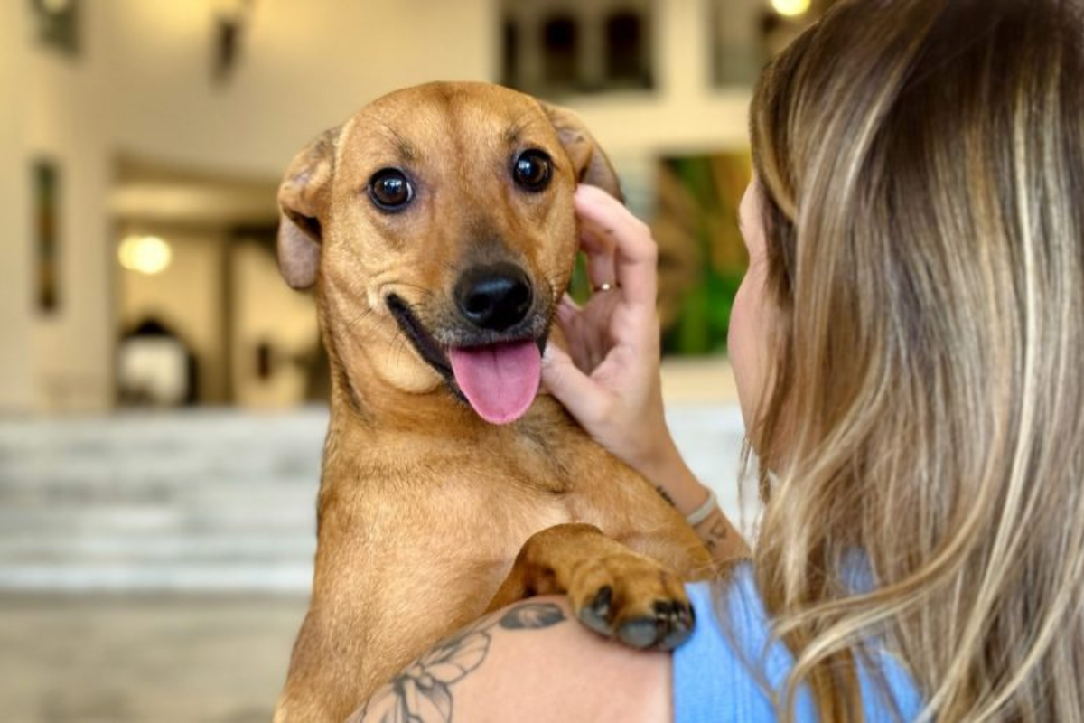 Foto: Divulgação/Governo de SP.