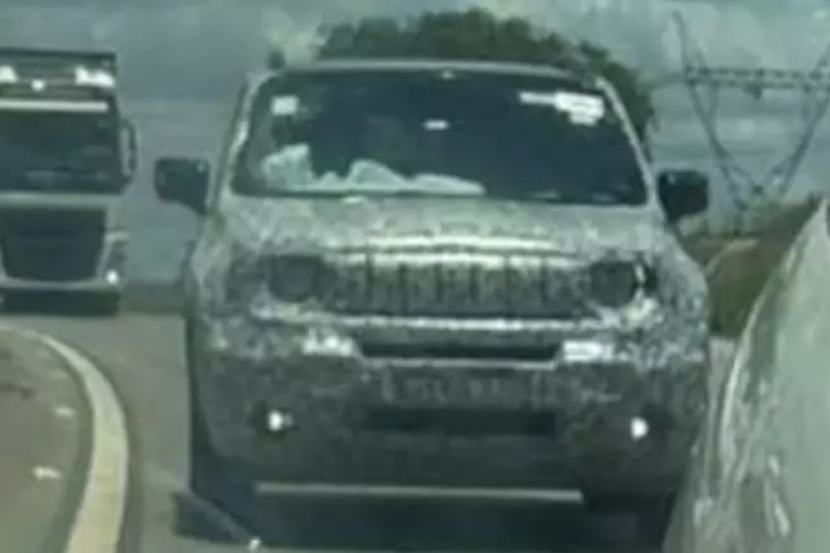 Foto: Reprodução/Instagram @placaverde.