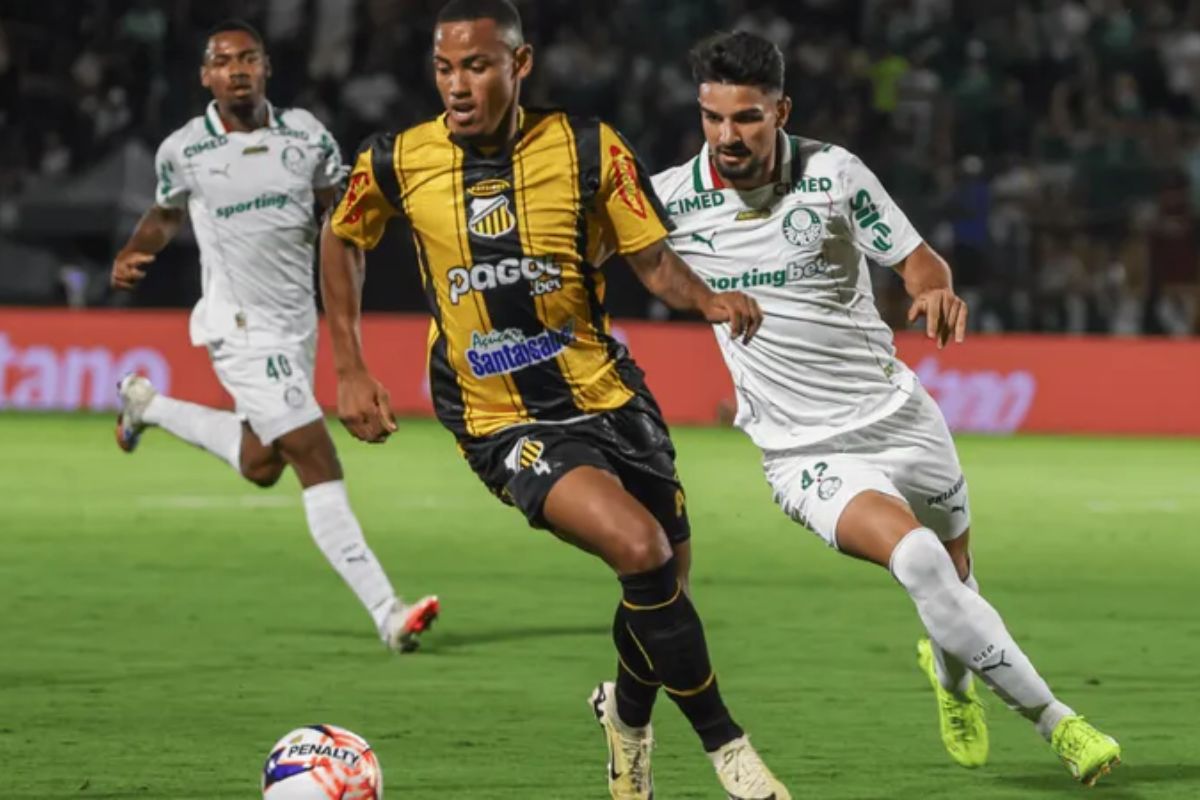 O Palmeiras venceu o Paulistão de 2026 em cima do Novorizontino com o placar agregado de 3 a 1. Foto: Fabio Menotti/Palmeiras.