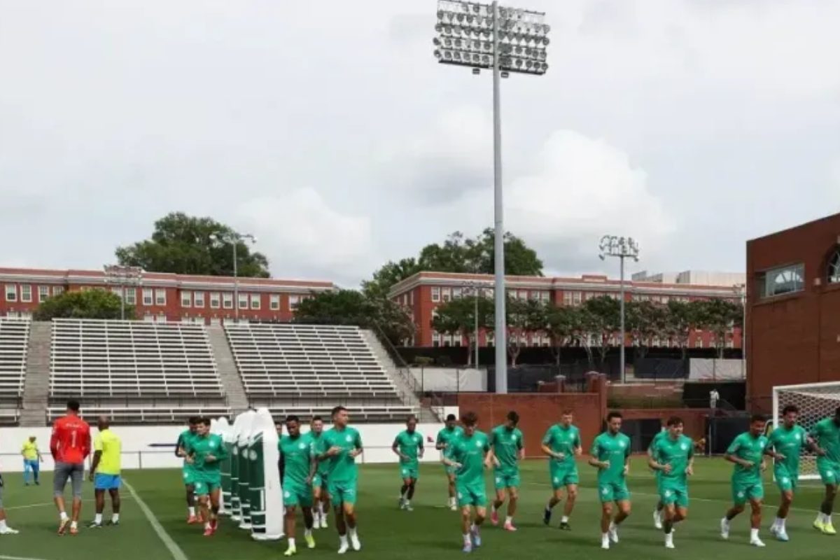 Foto: Cesar Greco/Palmeiras