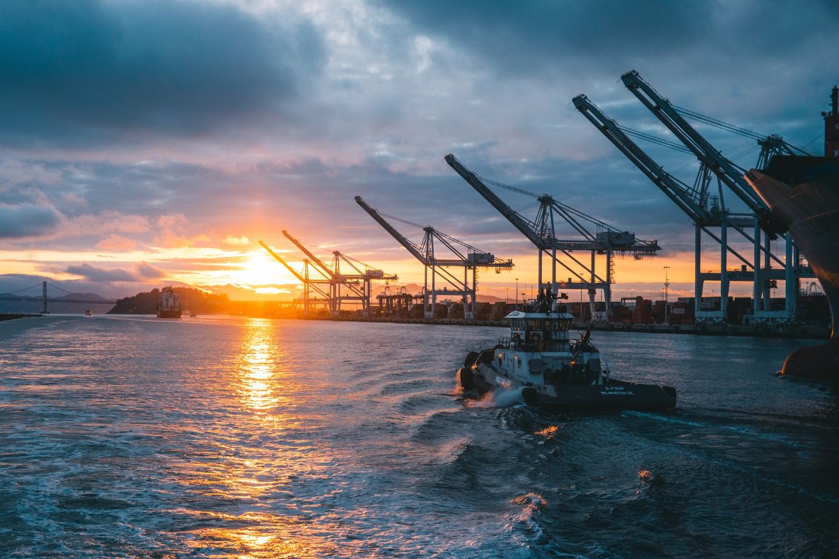 Foto: Reprodução/Freepik