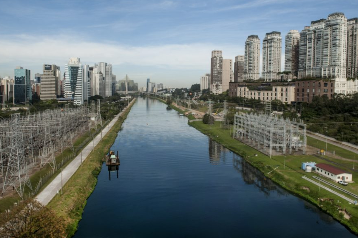 Foto: Reprodução/ Semil - Secretaria do Meio Ambiente 