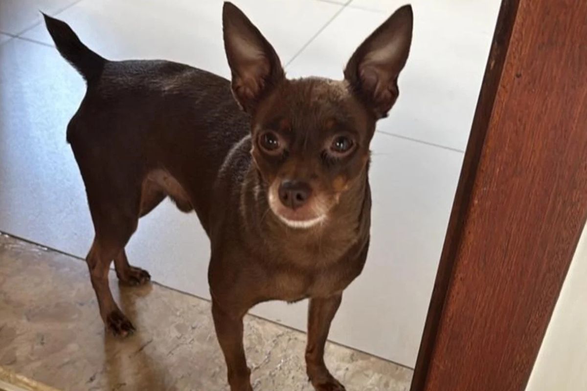 Foto: Reprodução/Instagram